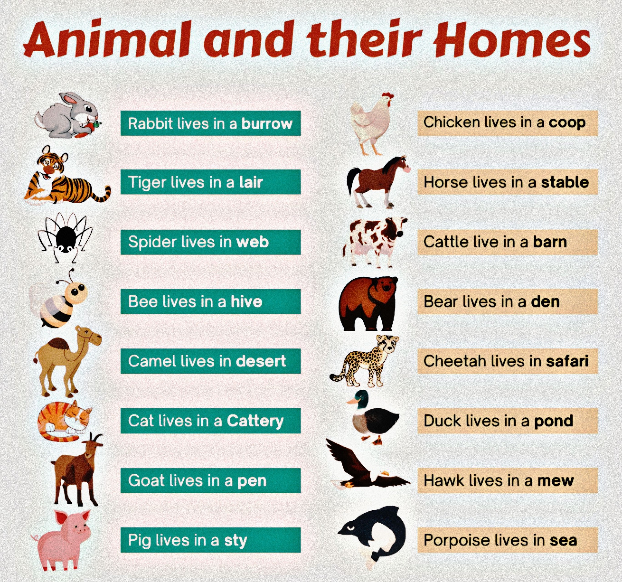 animal homes