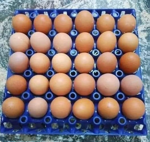 eggs