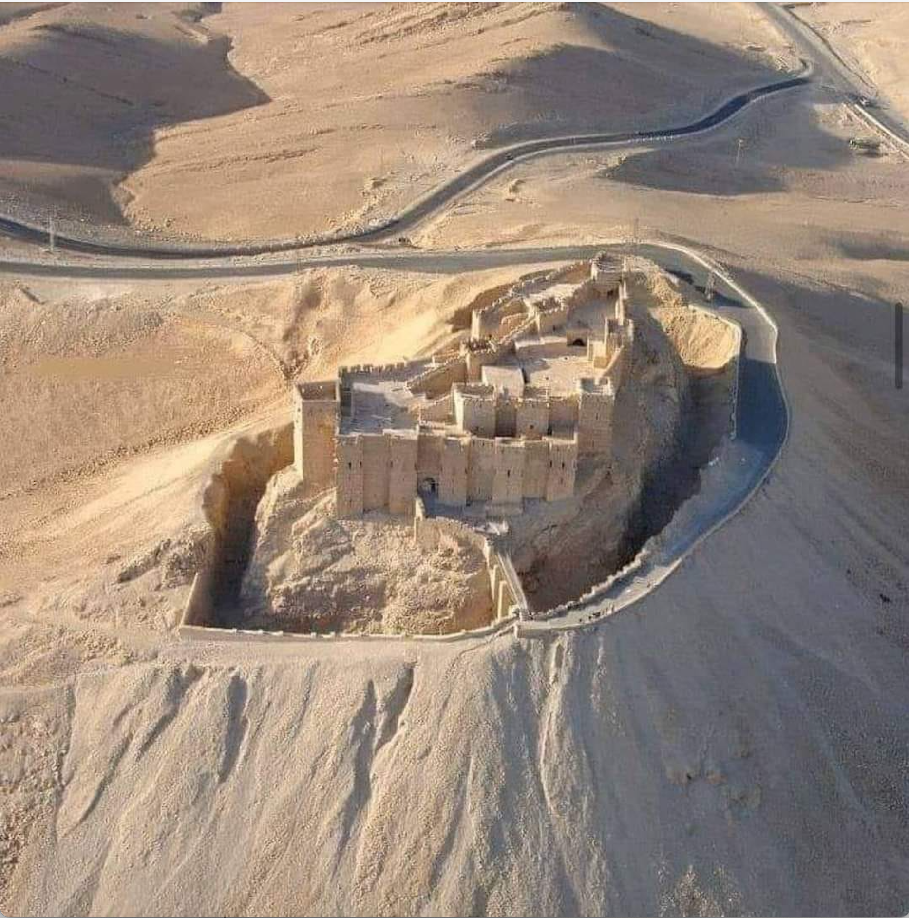 Palmyra